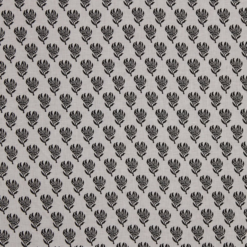 LIGHTEN UP | EBONY - Multi-purpose