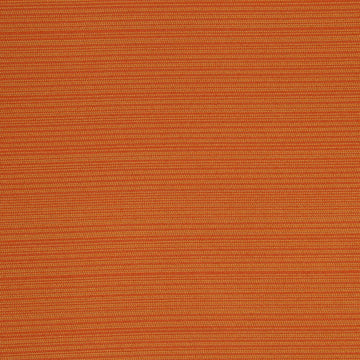 MARCO ISLAND | MANDARIN