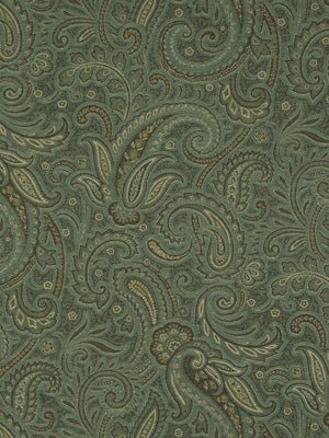 MODERN PAISLEY | ALOE - Upholstery - Fabric