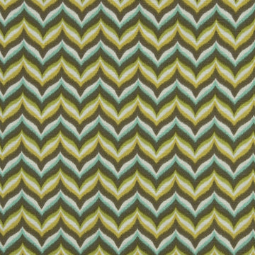 SPRING AHEAD | ALOE - Multi-purpose