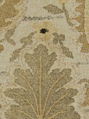 ACTUALITY | VANILLA - Multi-purpose