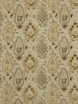 ACTUALITY | VANILLA - Multi-purpose