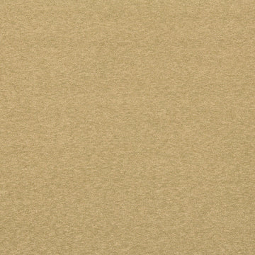 LOFT | CAMEL