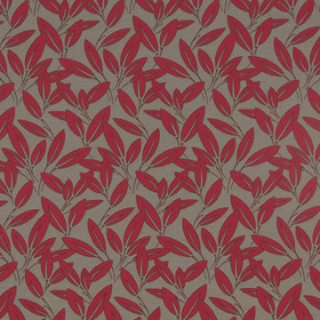 CABANA | TANGERINE