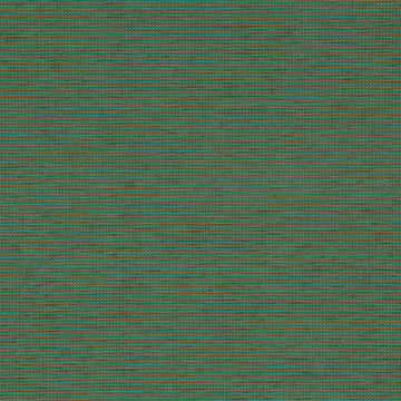 SOUTH COAST | CLOVER