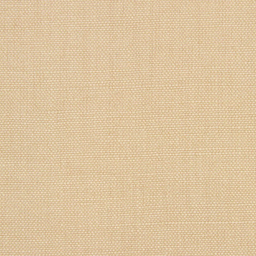 LINSEED SOLID | BISQUE