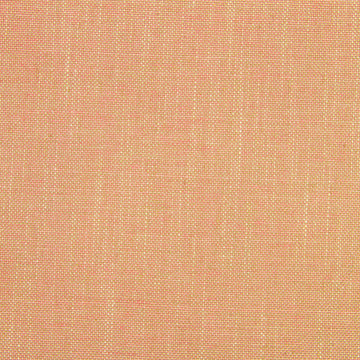 Linen Canvas | Blush