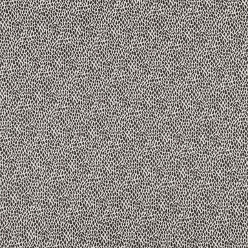 CHEETAH SKIN | CHALKBOARD