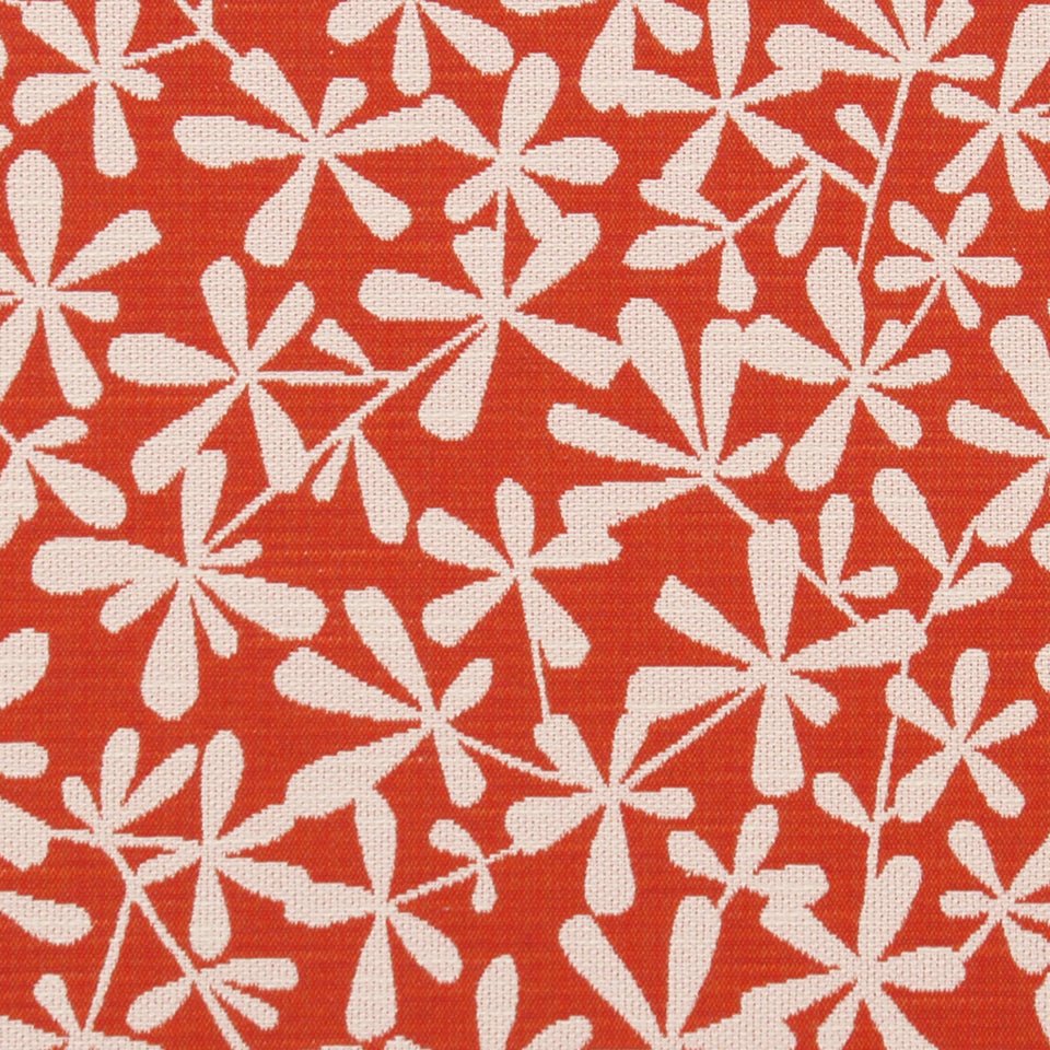 STRIE TOSS BK | PAPAYA - Upholstery - Fabric