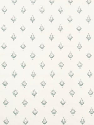 PONDEROSA PINE | FOUNTAIN - Multi-purpose