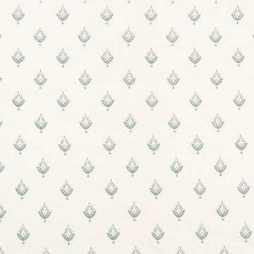 PONDEROSA PINE | FOUNTAIN - Multi-purpose