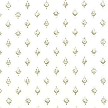 PONDEROSA PINE | ZINC