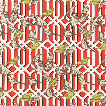 AVIARY TRELLIS | POPPY - Multi-purpose