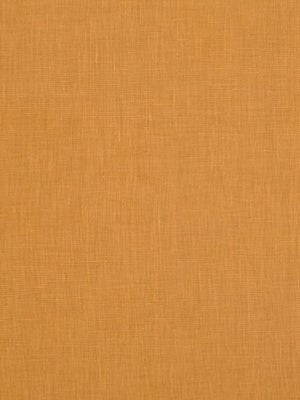 KILRUSH II | NUGGET - Multi-purpose