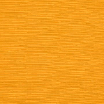 In The Groove | Papaya - Upholstery - Fabric