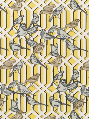 AVIARY TRELLIS | CITRINE - Multi-purpose