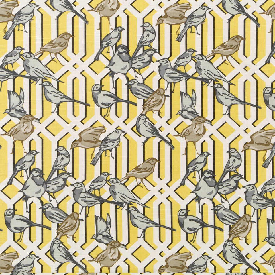 AVIARY TRELLIS | CITRINE - Multi-purpose