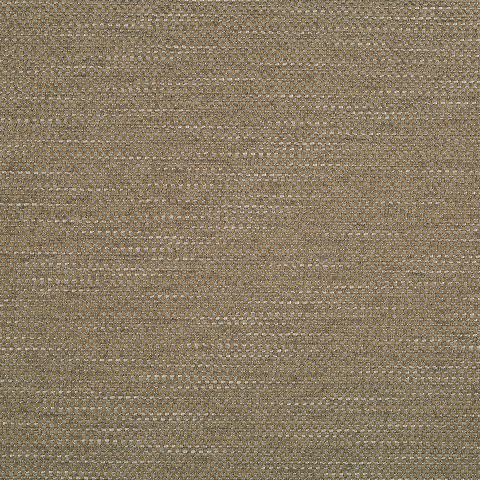 PRIMOTEX BK | BRINDLE - Upholstery - Fabric