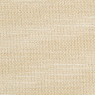 PRIMOTEX BK | IVORY