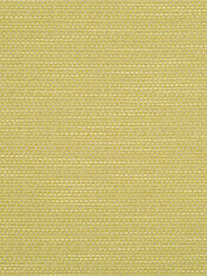 PRIMOTEX BK | ZEST - Upholstery - Fabric