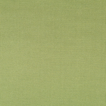 FINE TEXTURE | LIME