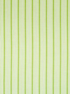 ALOHA STRIPE | SPRING GRASS - Upholstery - Fabric