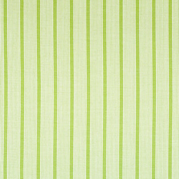 ALOHA STRIPE | SPRING GRASS - Upholstery - Fabric