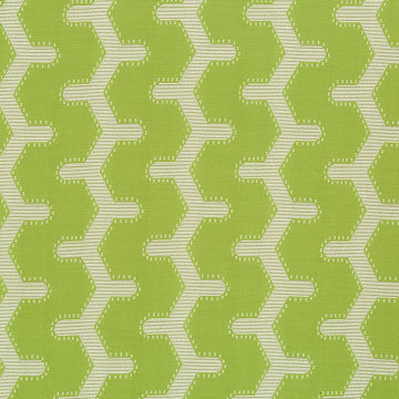 TEXTURE PATH | LIME
