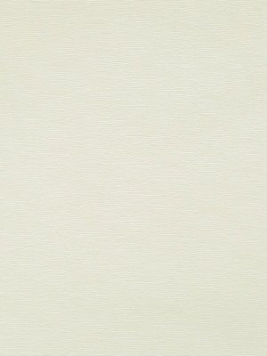 BECKO | CREAM - Multi-purpose