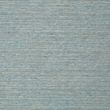 GIZMO | DENIM