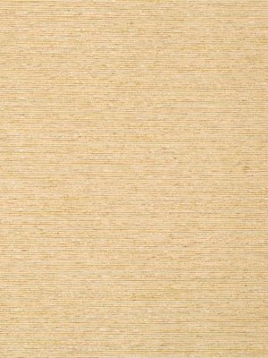 GIZMO | AMBER - Multi-purpose