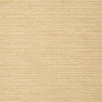GIZMO | BRASS - Multi-purpose