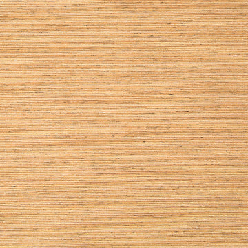 GIZMO | COPPER