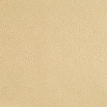 NYOLANI | AMBER - Multi-purpose