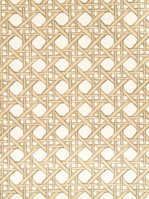 FRESH CANE BK | GOLD LEAF - Upholstery - Fabric