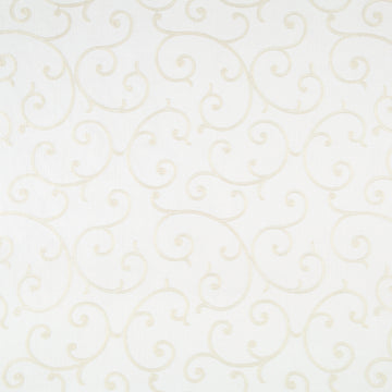 QUAINT SCROLL | GLACIER