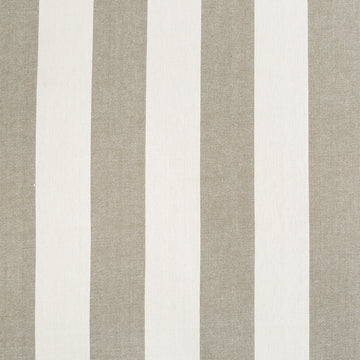 CANTINA STRIPE | BARK