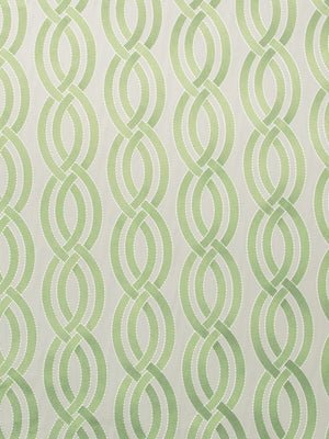 TWISTY LANES | CHIVE - Multi-purpose