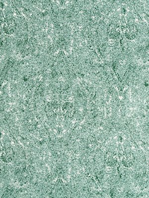 OGEE PAISLEY | LAGOON - Upholstery - Fabric