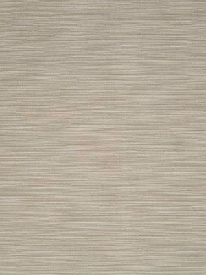 BLIND AMBITION | DRIFTWOOD - Upholstery - Fabric