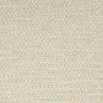 Swift Texture | Driftwood