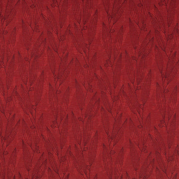 PENTUCKET | ORCHID