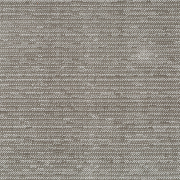 Brush Velvet | Ash