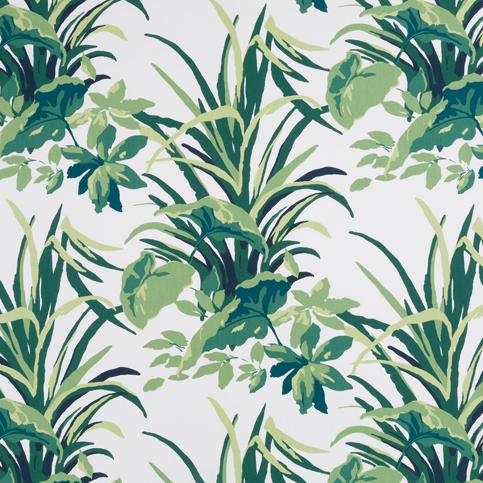 BERMUDA BAY | PALM - Multi-purpose