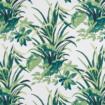 BERMUDA BAY | PALM - Multi-purpose