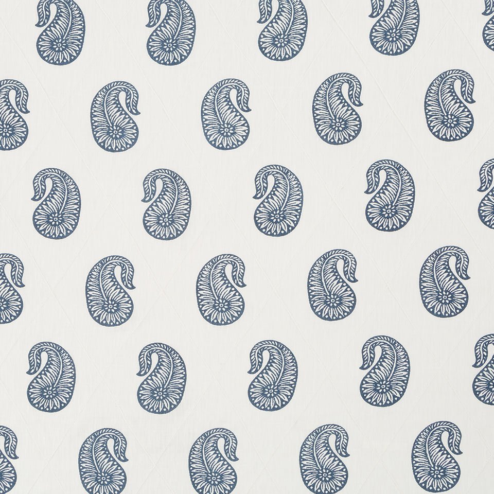 PAZETTE | MUSSEL SHELL - Multi-purpose