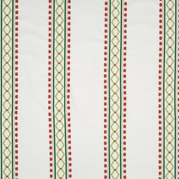 Viva Acapulco | Rhubarb