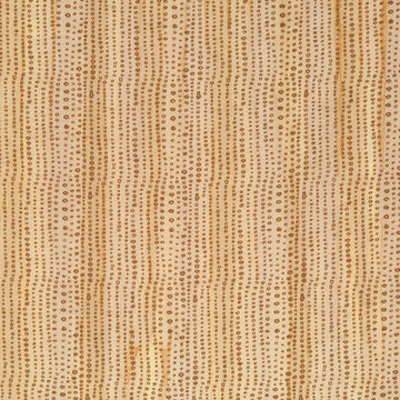 Dew Droplets | Copper - Drapery - Fabric