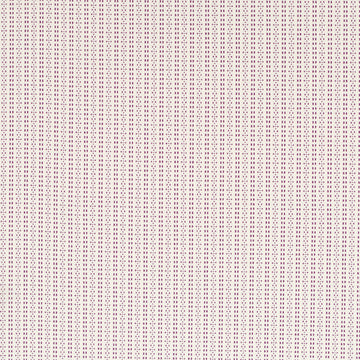 DIGITAL STRIPE | BEET