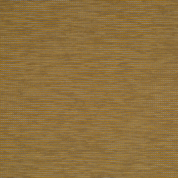 MIRROR LINE | MUSTARD